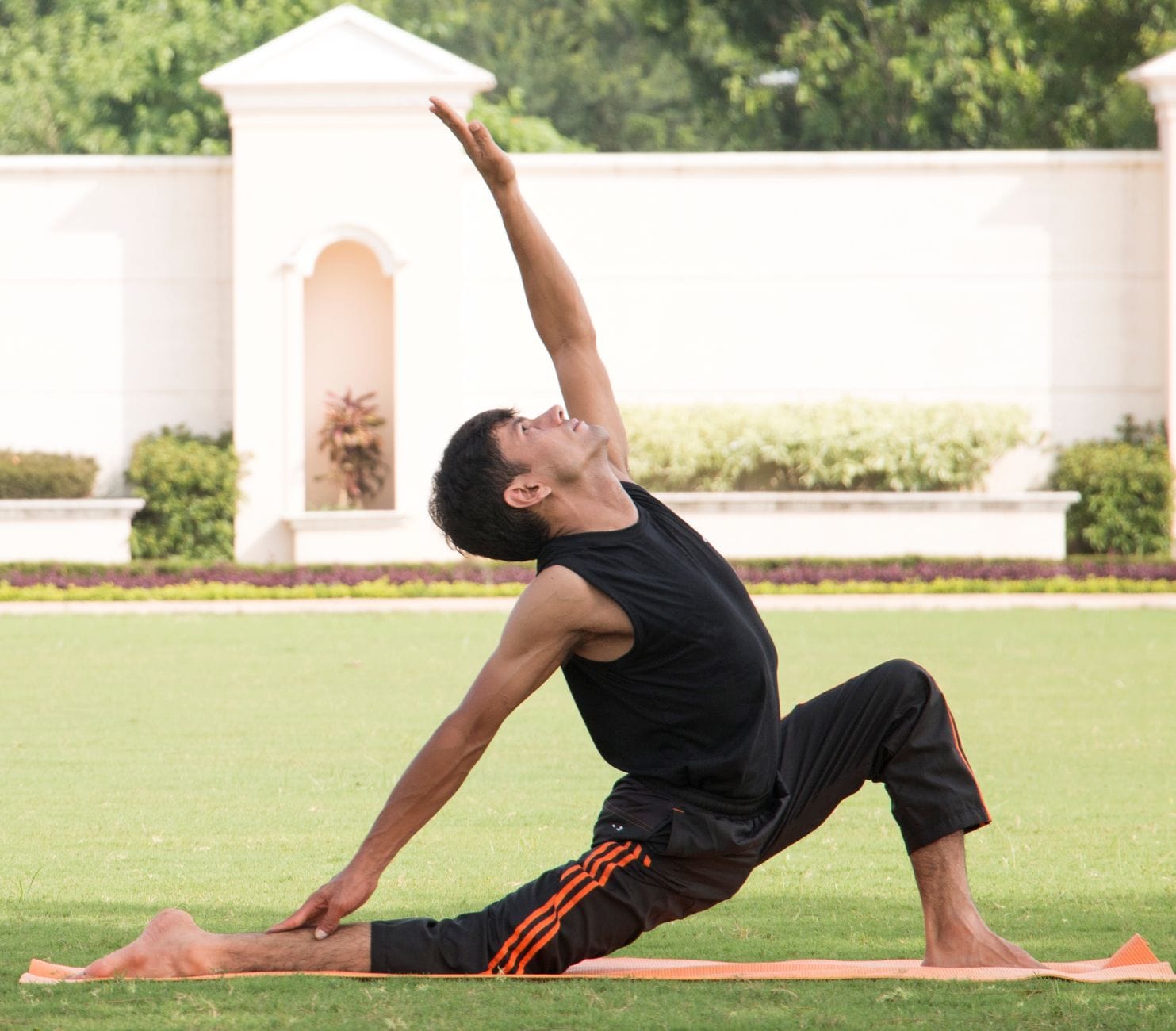 The 14 Poses, Step by Step