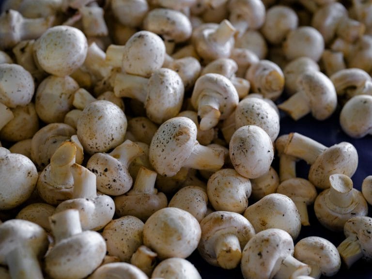 8 Reasons Mushrooms Deserve a Permanent Spot on Your Plate