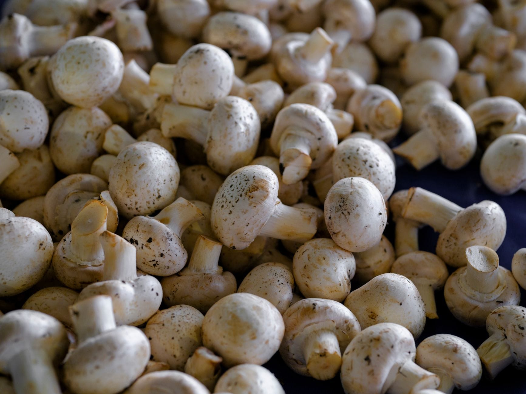 8 Reasons Mushrooms Deserve a Permanent Spot on Your Plate