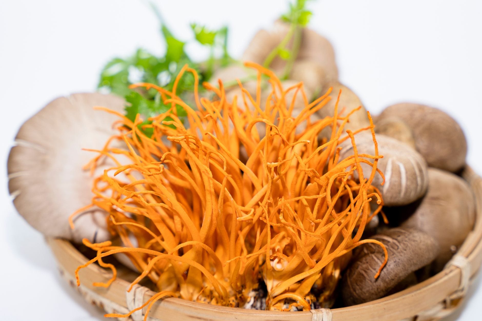 9 Things Cordyceps Might Actually Do for Your Body (Beyond the Energy Hype)