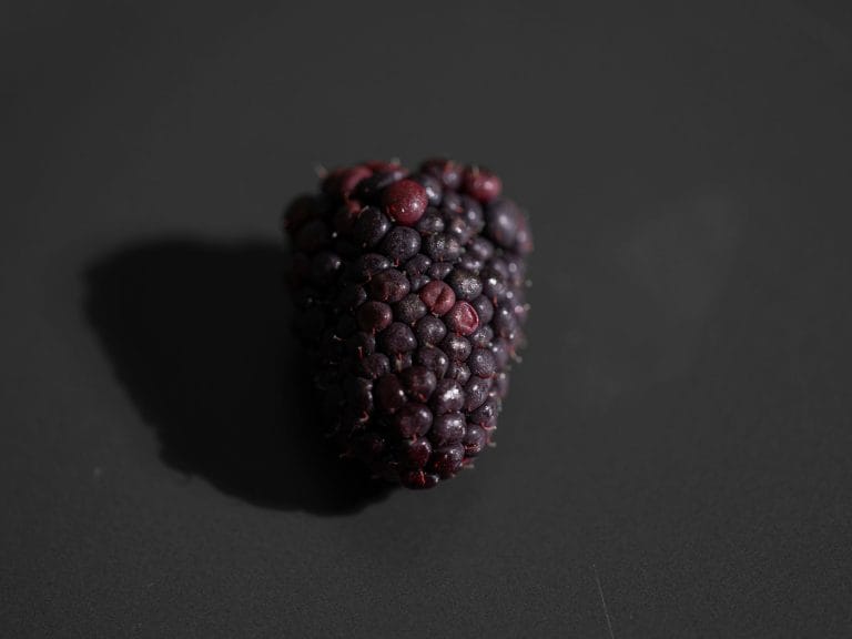 Maqui Berry Is the Antioxidant Fruit Almost Nobody Talks About (Here's Why That's Changing)