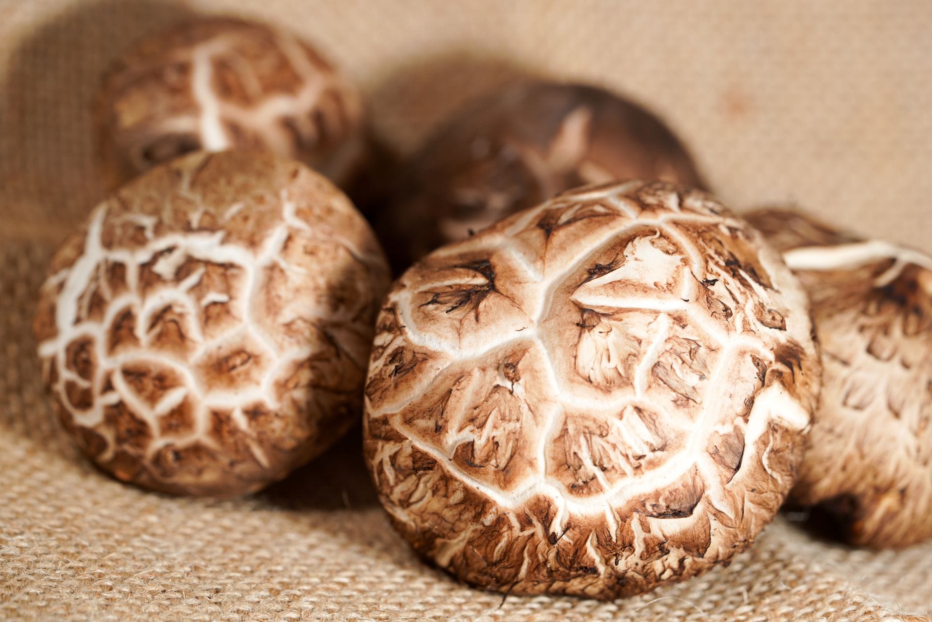 Common Varieties Worth Knowing