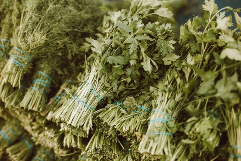 Why a Handful of Parsley Might Be the Healthiest Thing on Your Plate