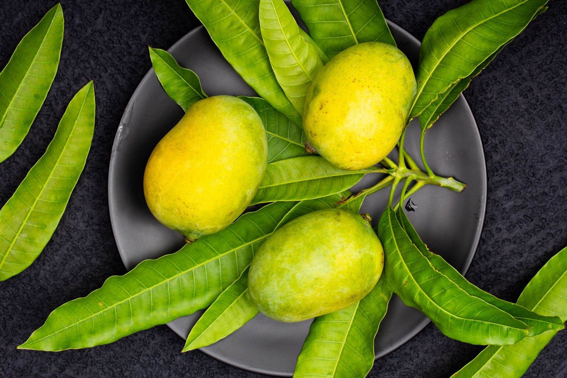 Why You Should Stop Throwing Away Mango Leaves (Your Blood Sugar Might Thank You)