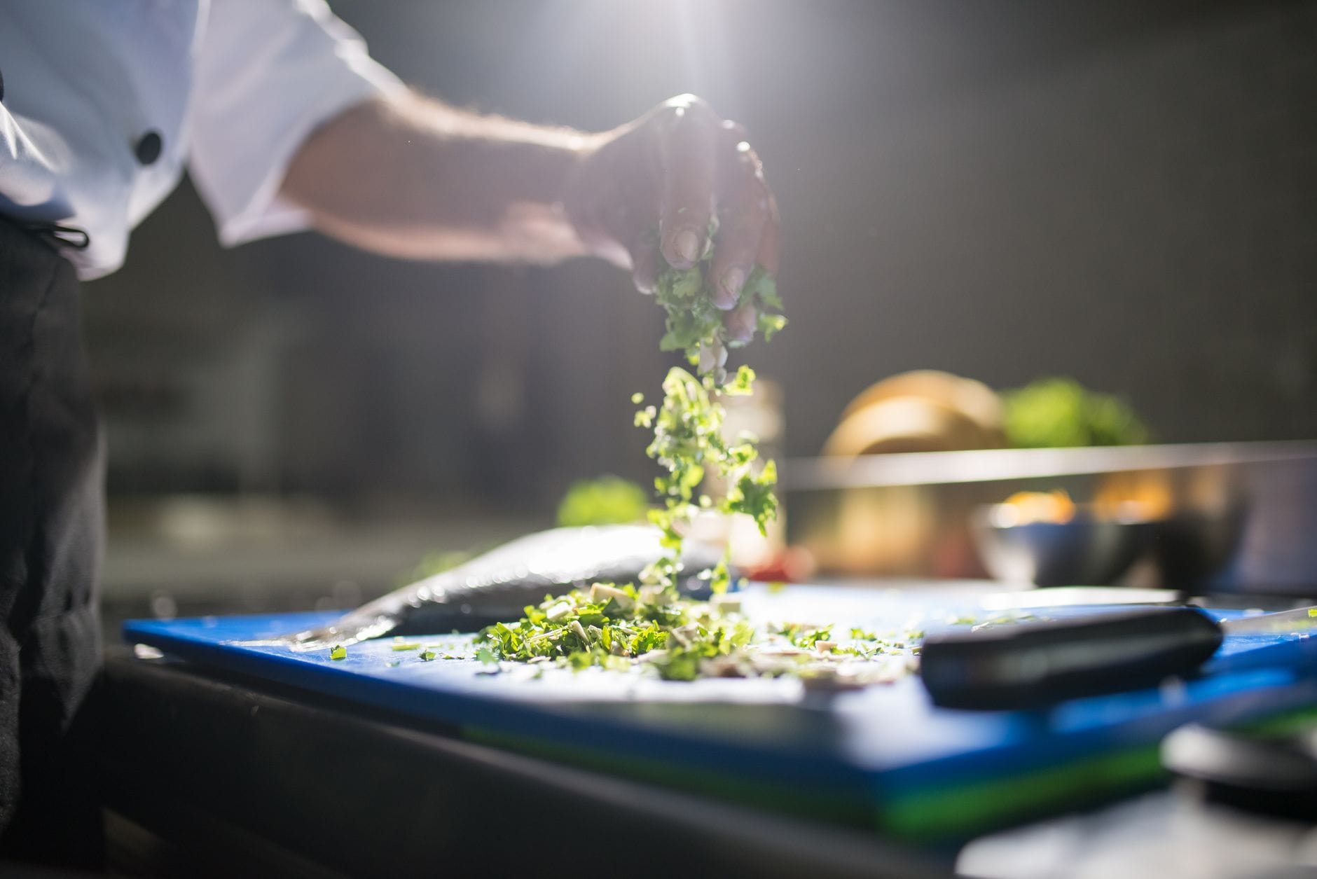 Nutrition Packed Into a Tiny Leaf