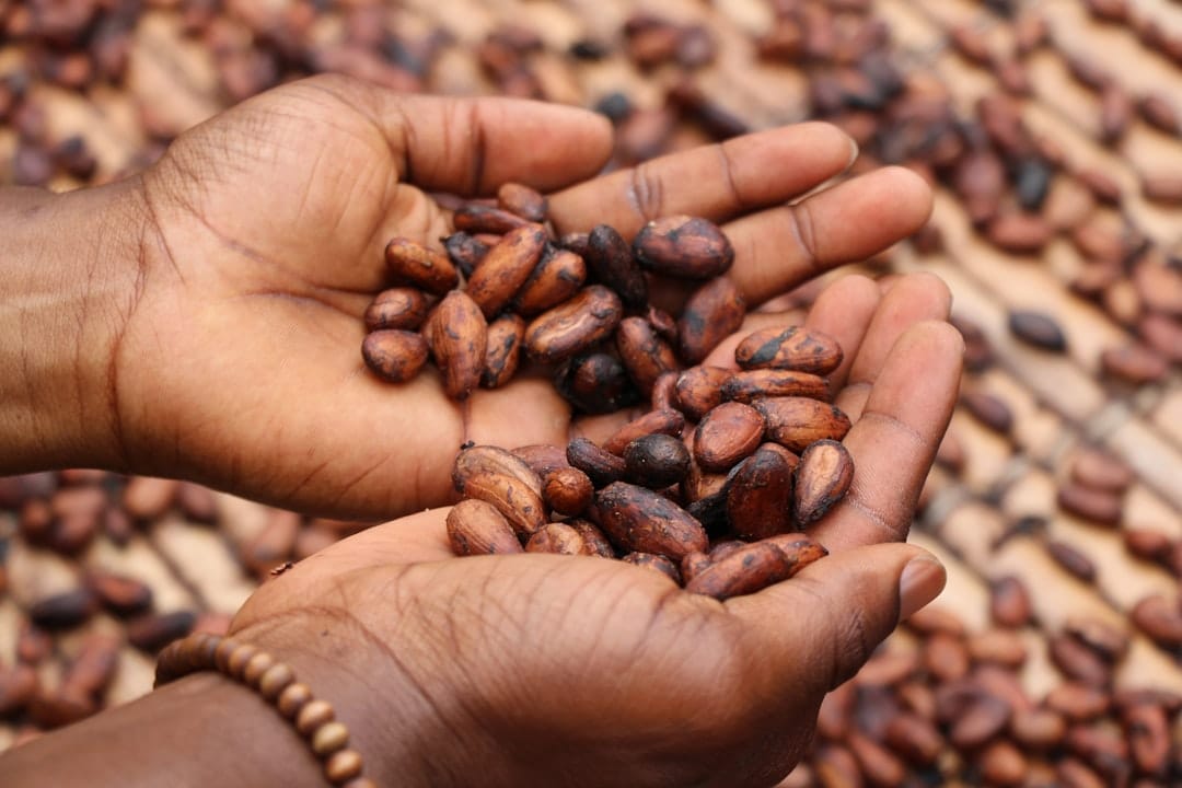 Why Cacao Does So Much More Than Make Chocolate Taste Good (Your Skin Agrees)