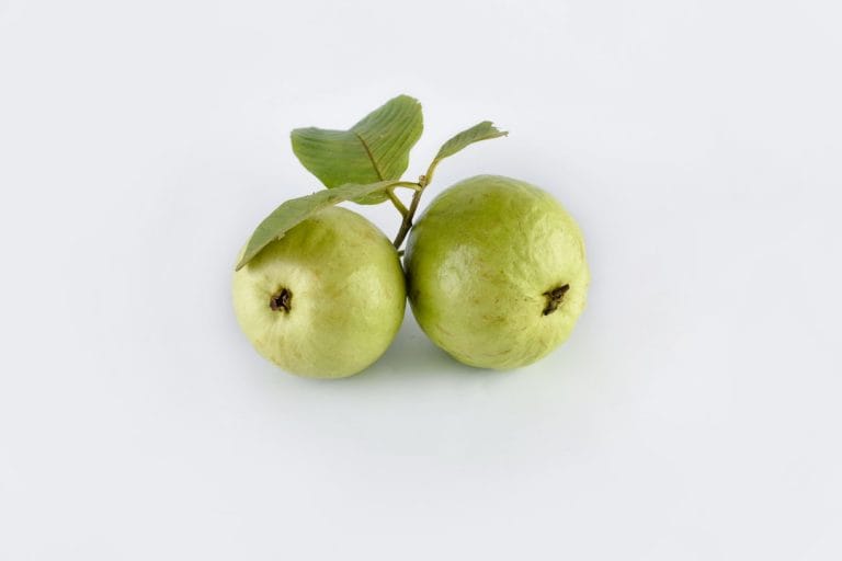 Why Guava Leaves Might Be the Most Underrated Part of the Tree (Don't Toss Them)