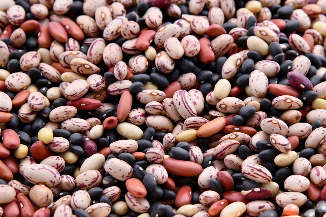 Plant-Based Foods That Support Weight Loss