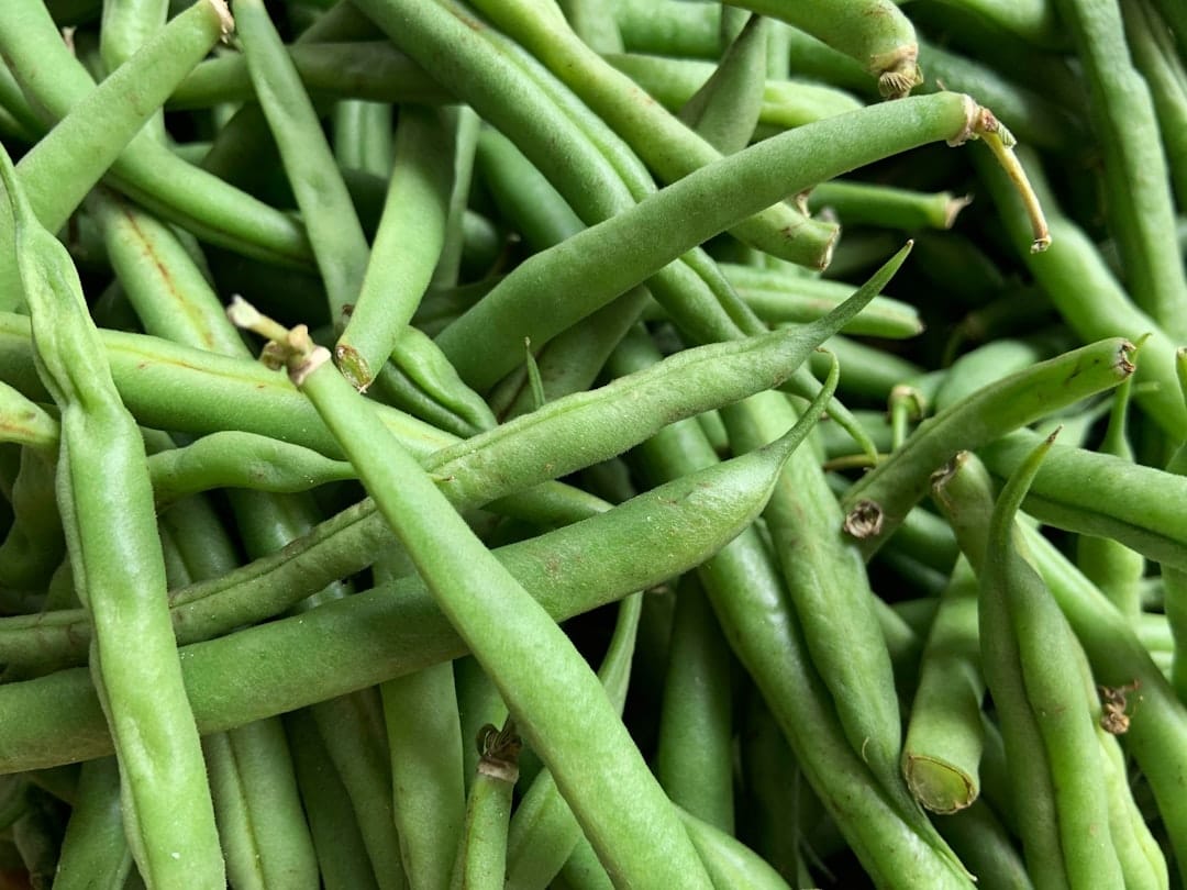 Why Green Beans Are So Much More Than a Holiday Side Dish