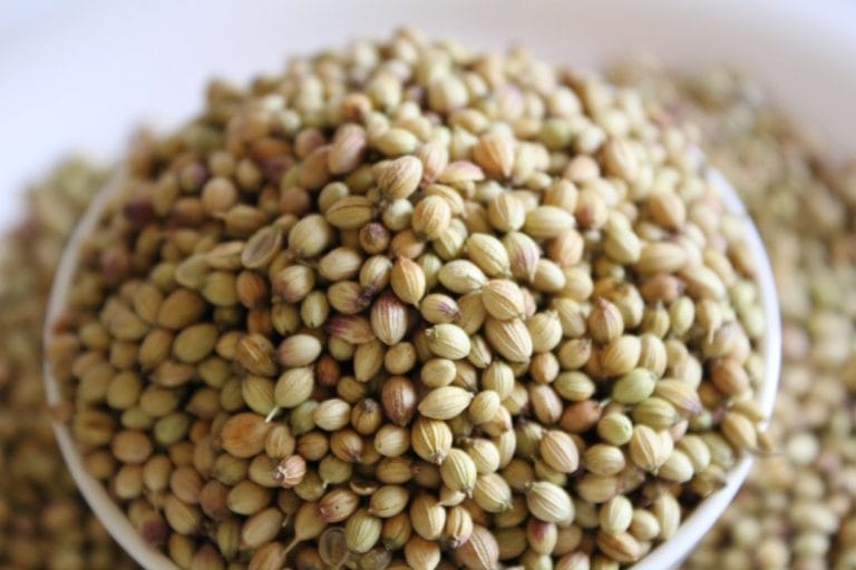 Why Fenugreek Seeds Deserve a Spot in Your Kitchen (and Your Hair Routine)