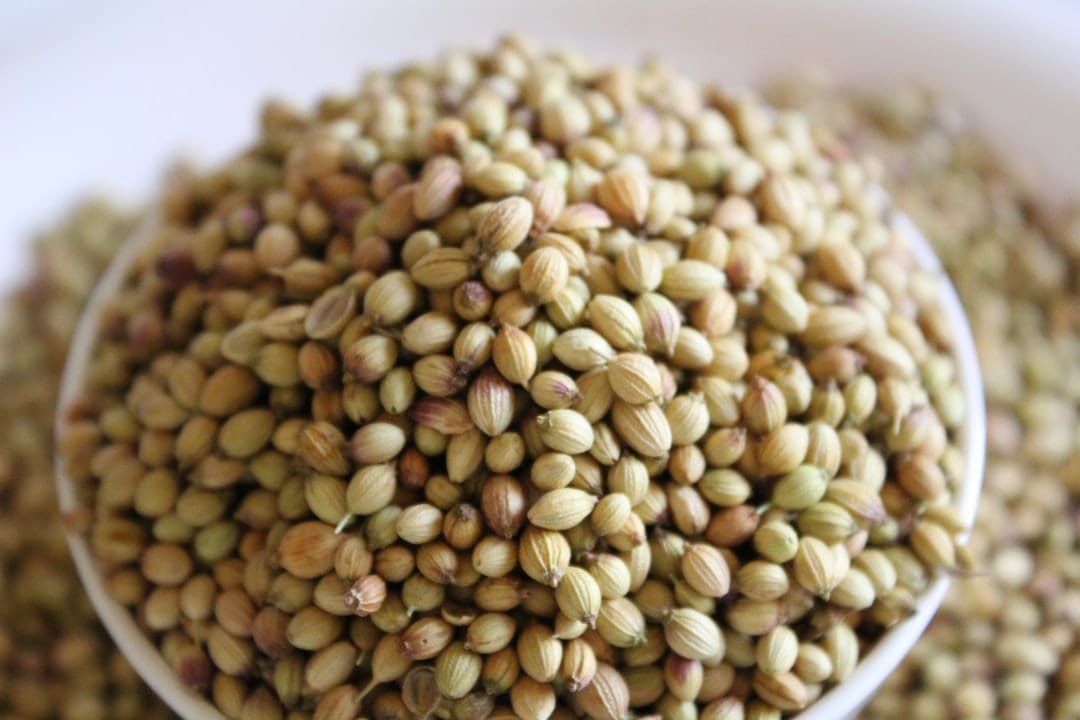Why Fenugreek Seeds Deserve a Spot in Your Kitchen (and Your Hair Routine)