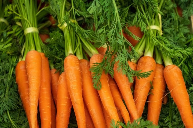 Yes, You Can Eat Too Many Carrots (Here's What Happens When You Do)