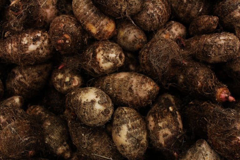 Why Yams Deserve More Credit Than They Get in Your Kitchen