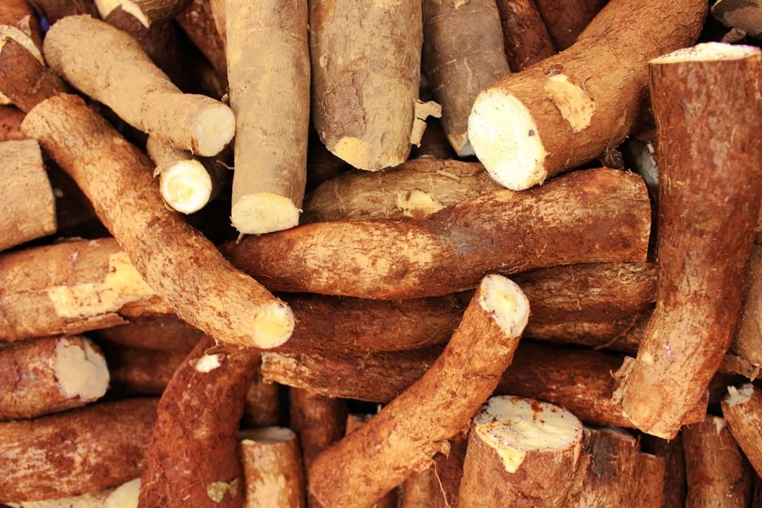 The Sweet Root Your Great-Grandmother Trusted (and Science Is Only Now Catching Up To)