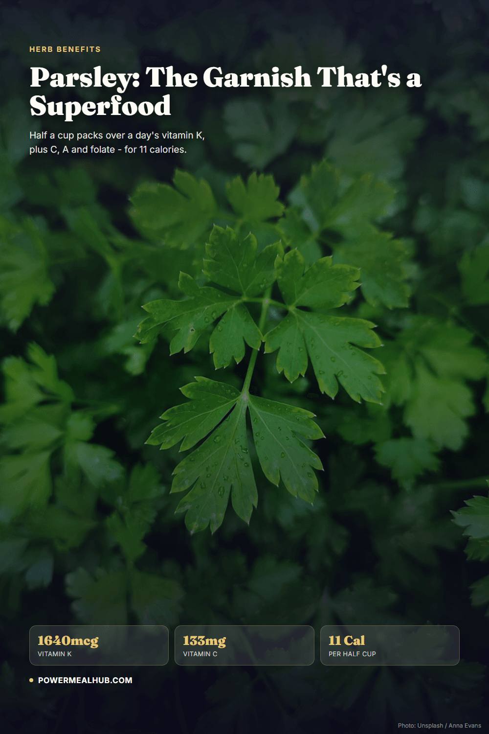 The Bottom Line - Parsley Benefits Backed by Research