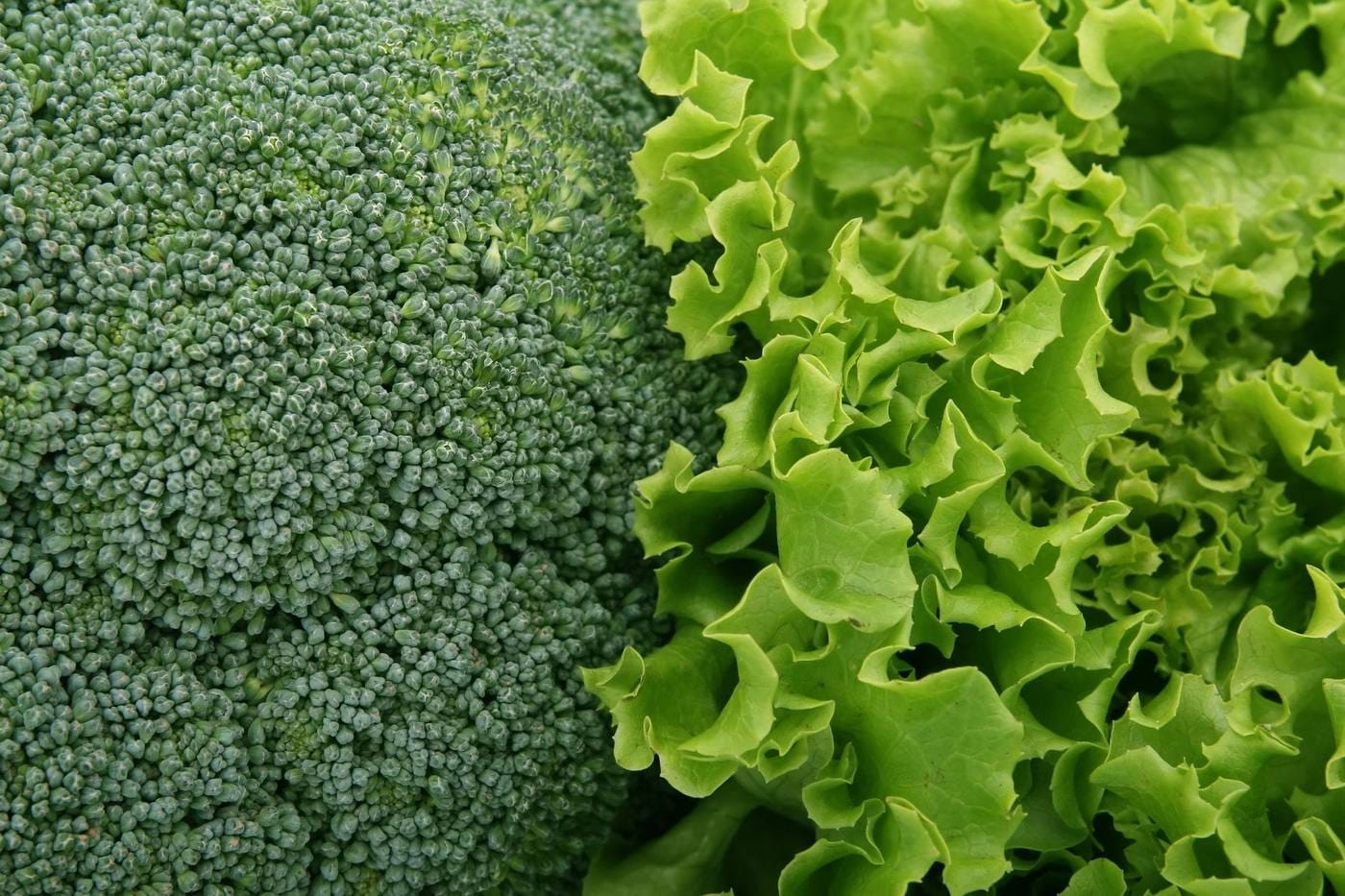 The Foods Worth Leaning On