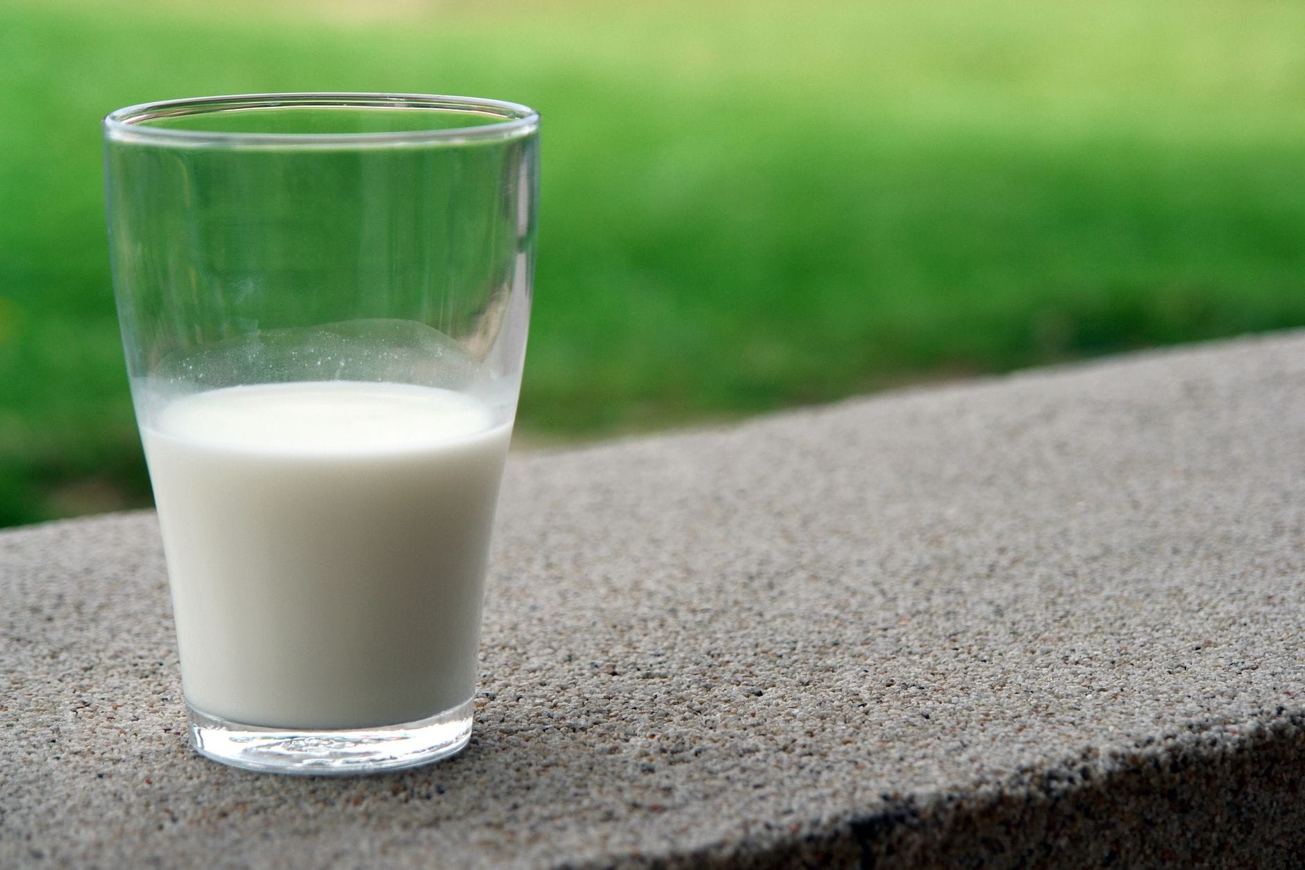 Full-Fat Dairy