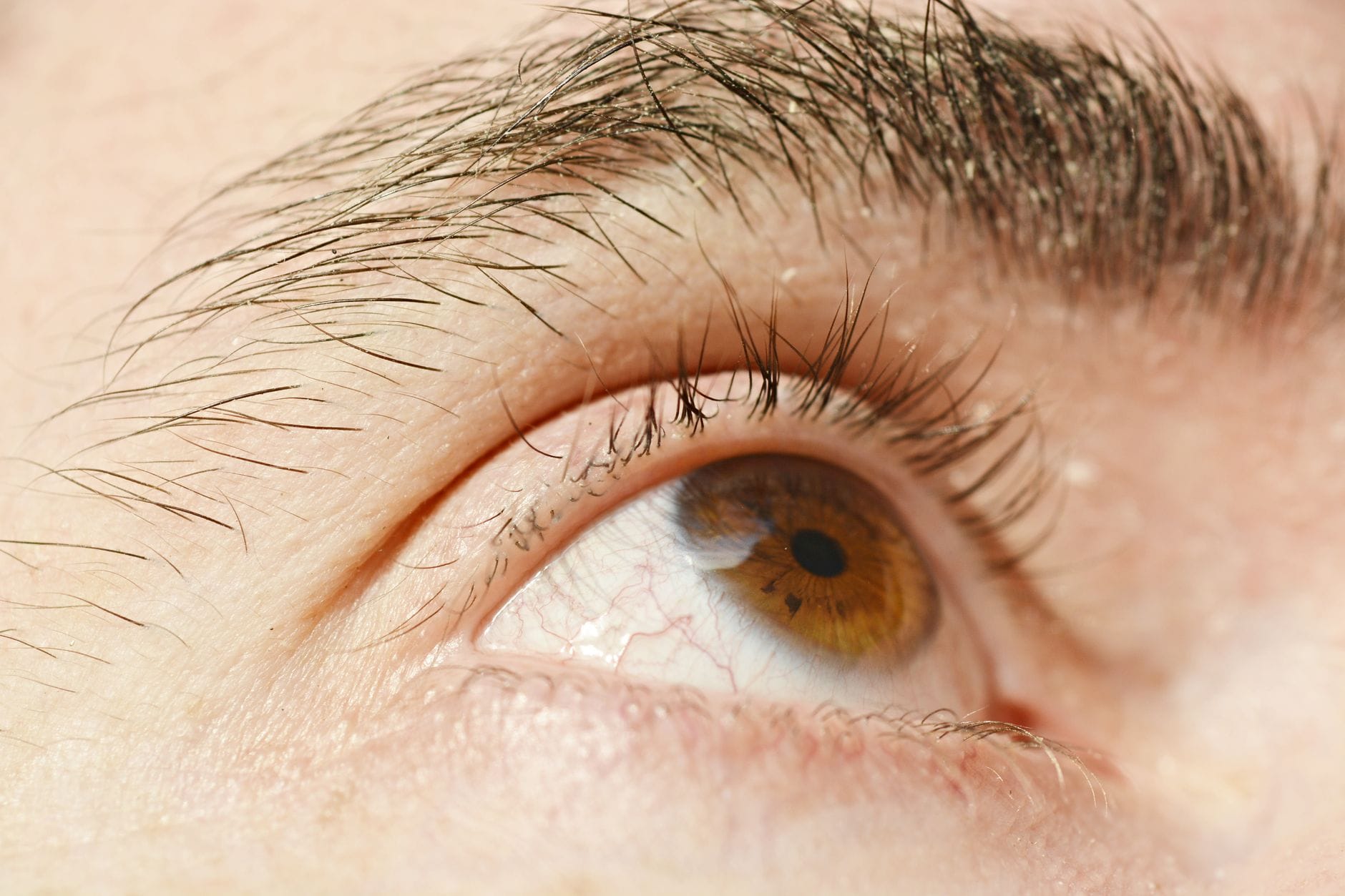 Extreme close-up of a hazel human eye, lashes and eyebrow sharply lit