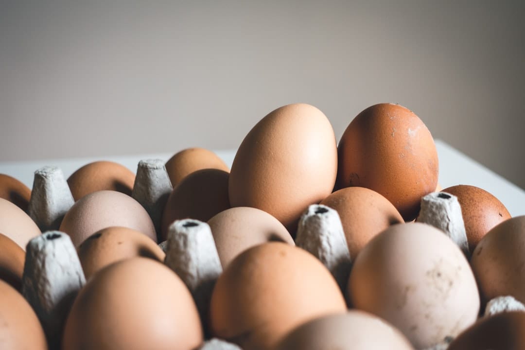 Is There Really a Difference Between White Eggs and Brown Eggs (or Is It All in the Shell)?