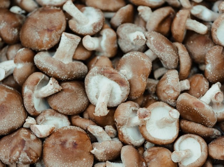 Why Shiitake Mushrooms Deserve a Regular Spot on Your Dinner Plate