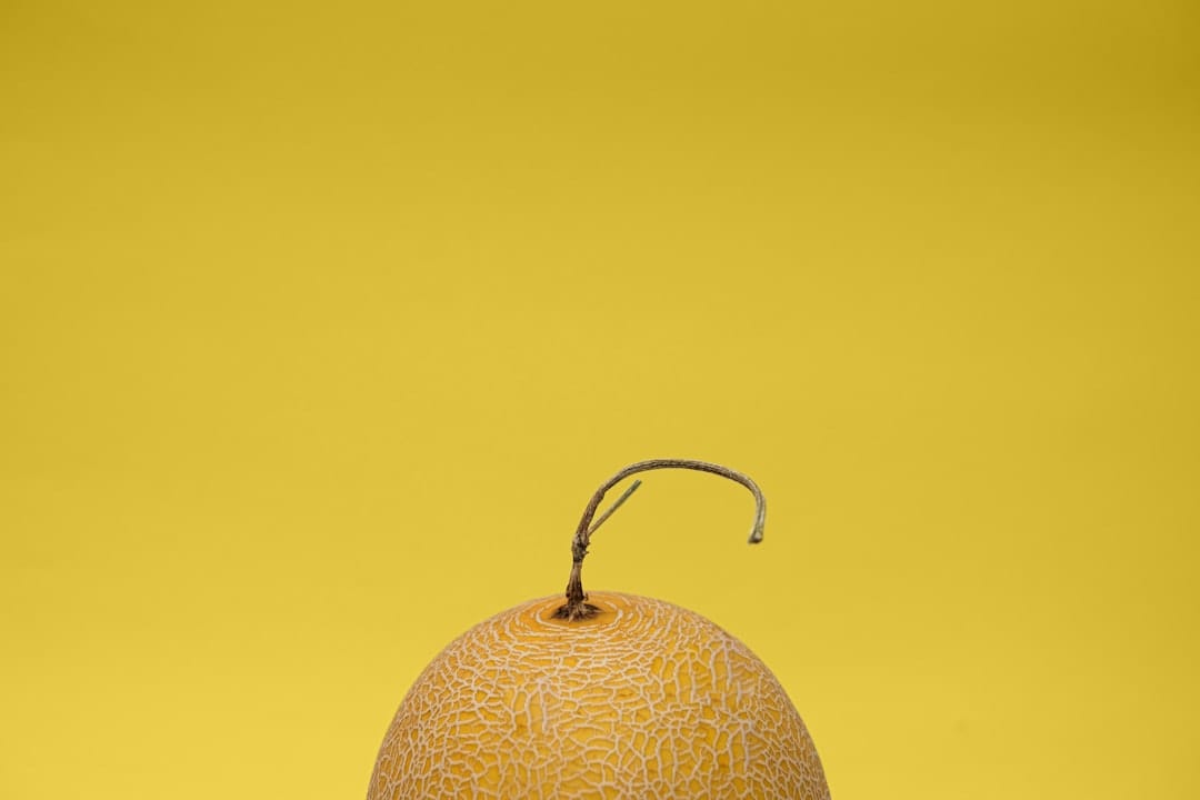 A netted, pale orange cantaloupe with a curved dried stem against a yellow background