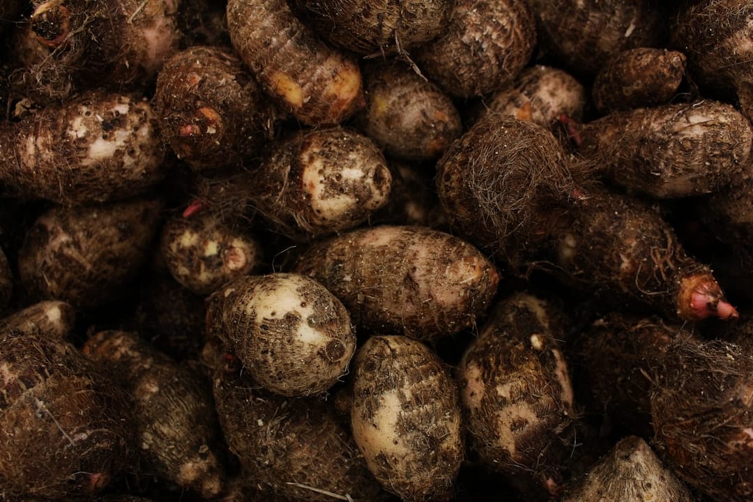 Why Purple Yam Deserves a Spot on Your Plate (Color and All)