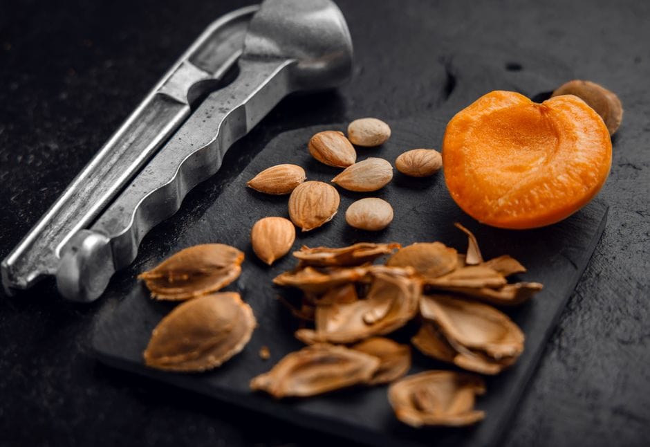 Cracked apricot stones with the pale kernels removed, beside a metal nutcracker and a halved apricot