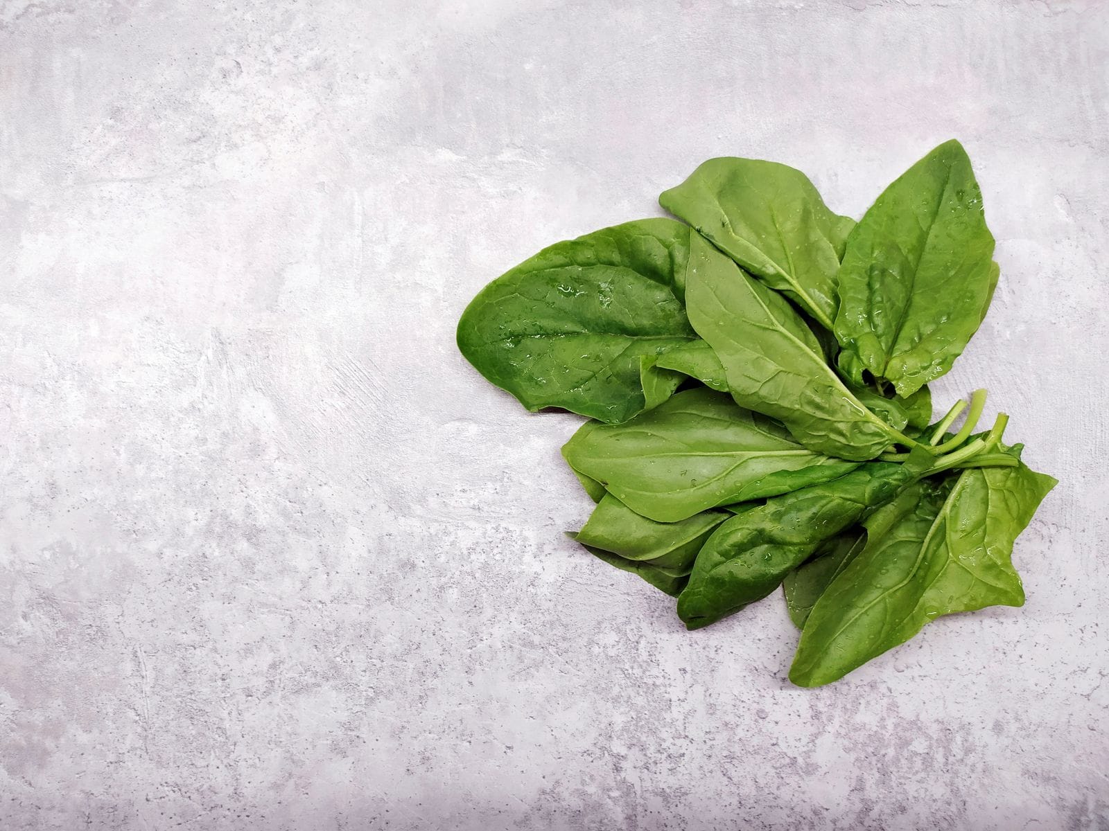 Bunch of fresh green spinach leaves on a gray stone surface