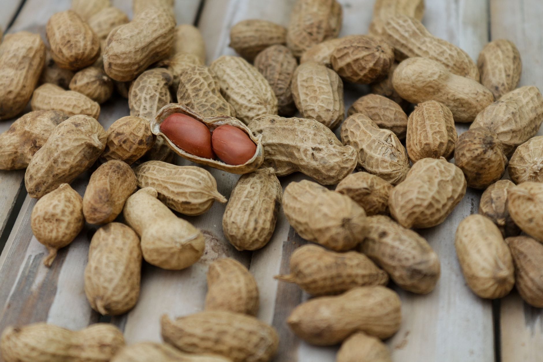 Peanuts in their shells on a wooden surface, one shell open showing two red-skinned kernels
