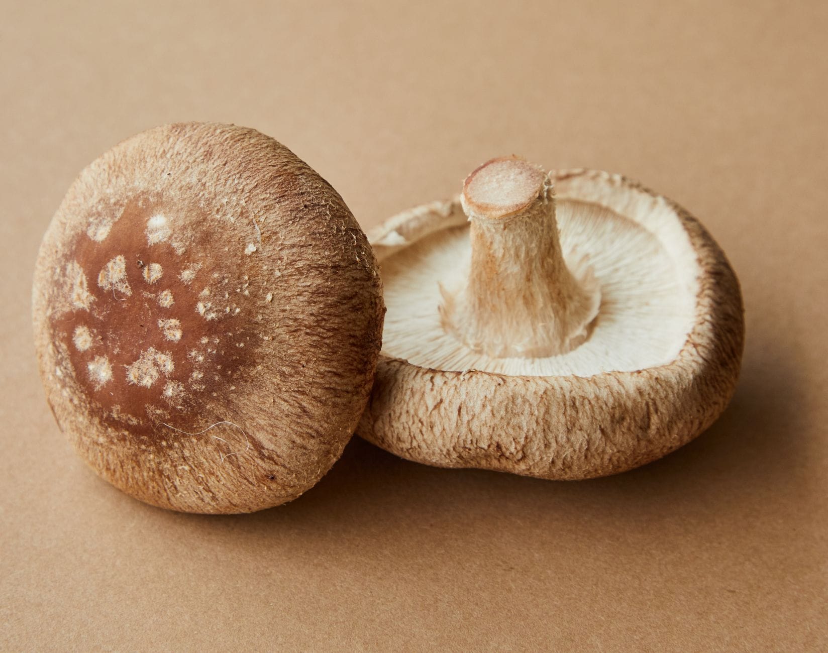 Two shiitake mushrooms, one showing cracked brown cap, one showing cream gills