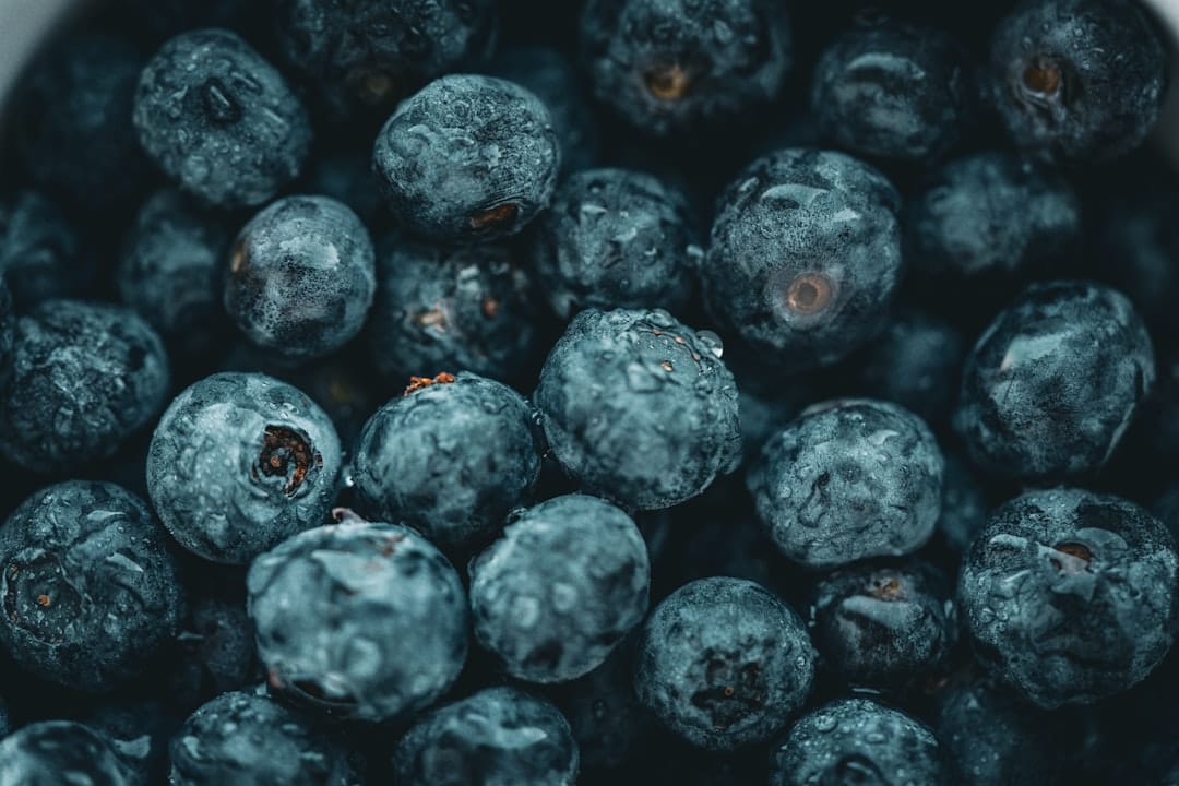 Close-up of fresh blueberries with water droplets, dark berries similar in color to maqui