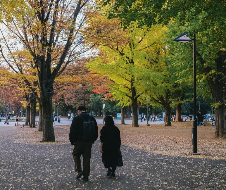 Two people walking away from the camera along a leaf-strewn path in an autumn park