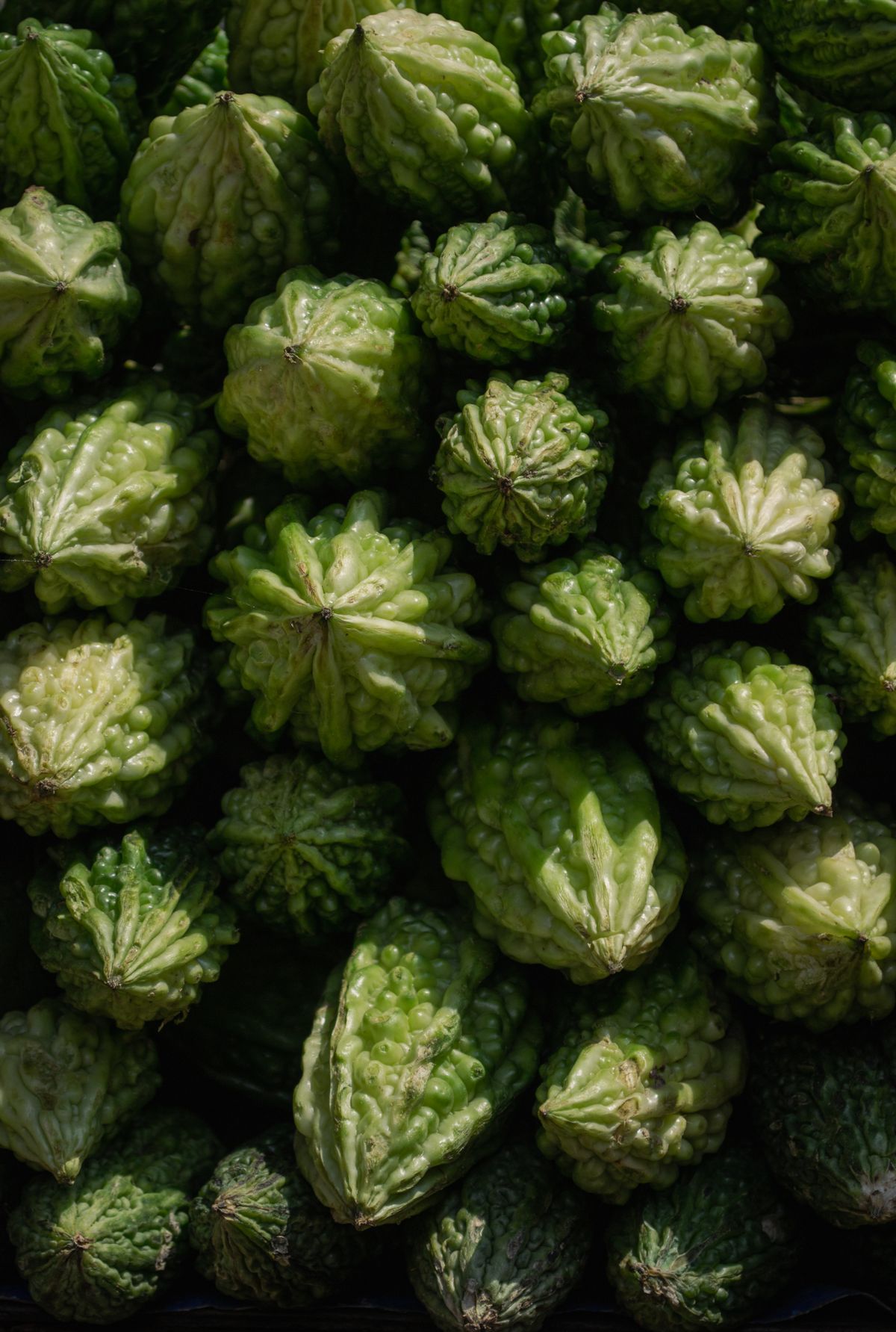 Overhead view of a pile of whole green bitter melons with their bumpy warty skin stacked at a market