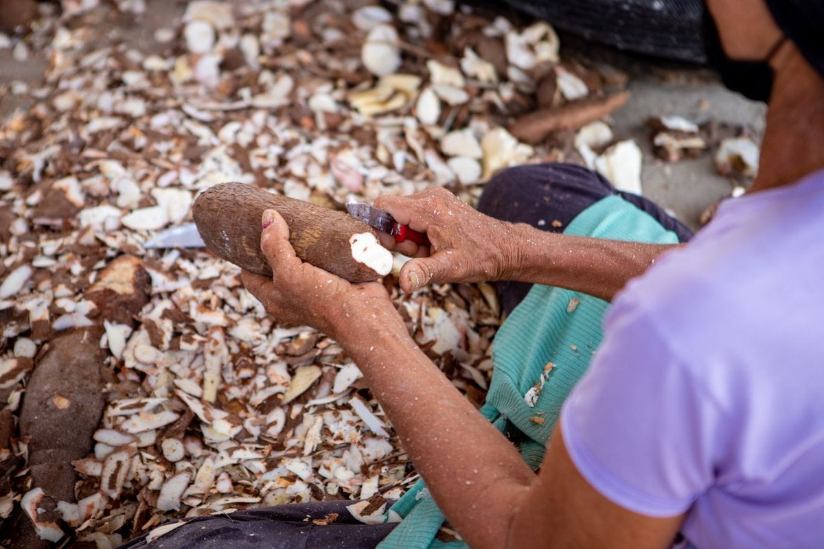 Woman peeling a cassava root with a knife, surrounded by brown peel and white flesh scraps on the ground