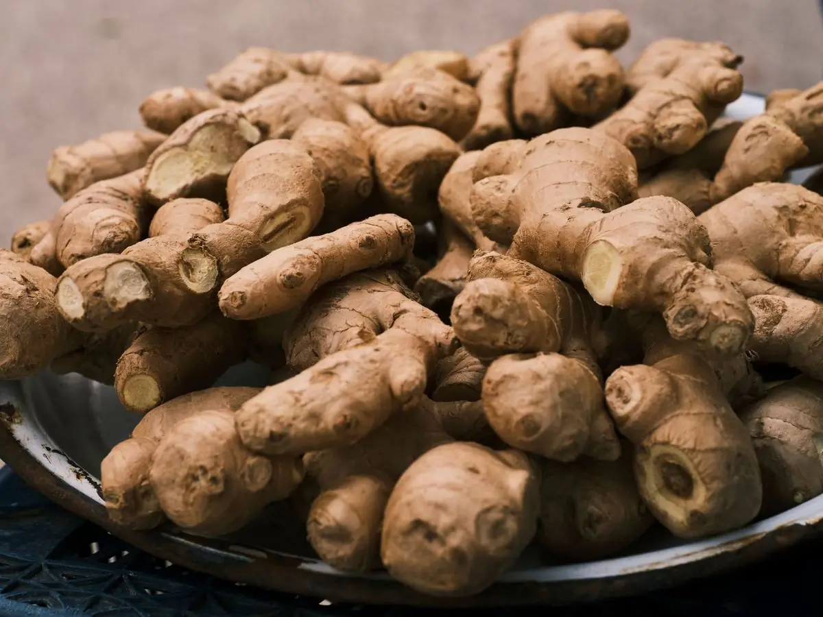 A metal bowl piled with knobbly fresh ginger roots, some cut to show the pale flesh