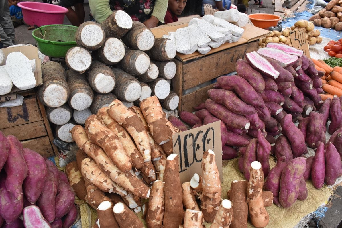 Market stall piled with cut yam tubers showing white flesh under brown bark-like skin, beside cassava roots and purple-skinned sweet potatoes